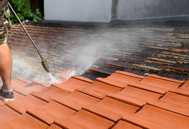 Local Pressure Washing Services in Lochmoor Waterway Estates, FL
